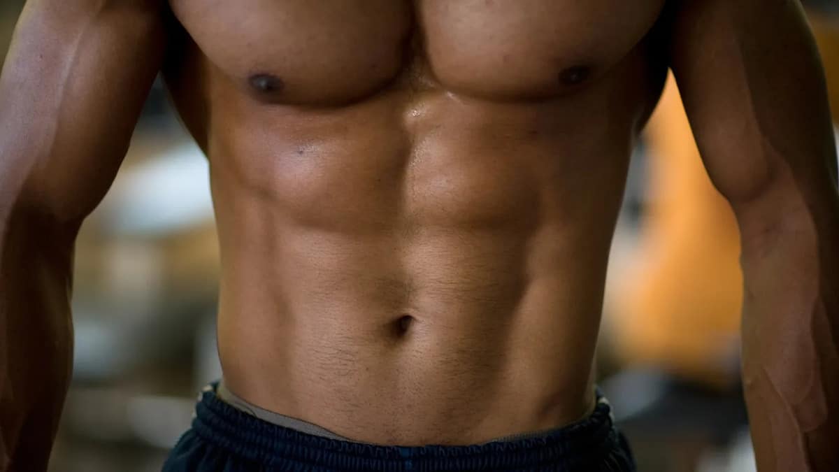 Creatine Boosts Muscle Development and Cognitive Performance